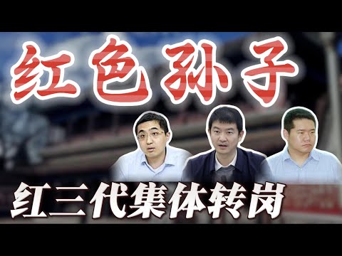 【“红三代”集体退出地方党政，转岗国企】邓小平孙子邓卓棣，陈云外孙董巍，叶剑英曾孙叶仲豪；邓卓棣抽身广西，避开了蓝天立有色金属倒查十年；叶仲豪曾与胡春华共同献花