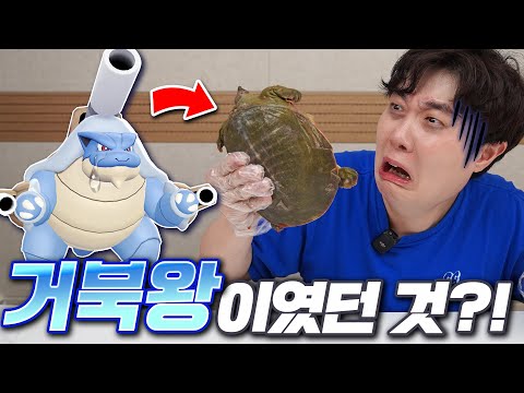 동심파괴주의... 이번 포켓몬고 먹방(?) 메가 거북왕 레이드입니다...