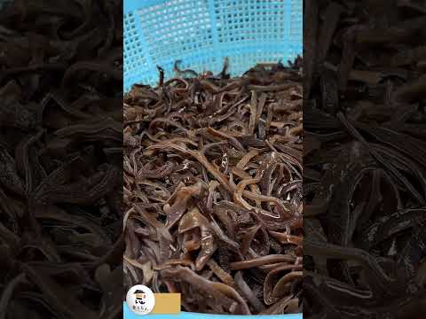 Inside #1 Ranked Japan Youth Baseball Team Daily Grind