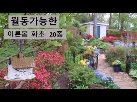 20 Early Spring Flowers That Can Overwinter / Flowers that Bloom in Late Winter to Early Spring