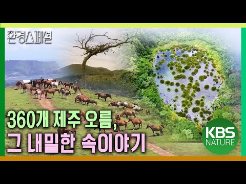 360개 제주 오름, 그 내밀한 속이야기 [UHD특집다큐 2부작 2편 화산섬 오름꽃_그 섬에 내가 있었다] / KBS 20171124 방송