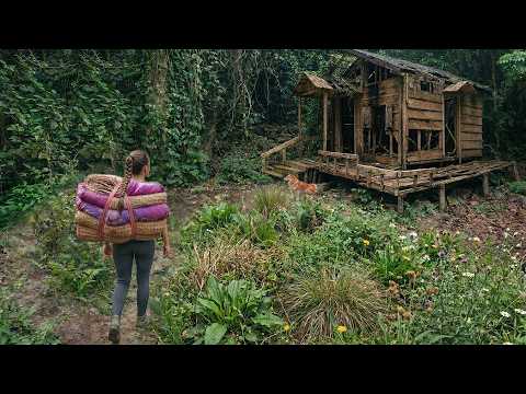 After 5 Years Away, She Returns to Her Forest Home | Renovating the House & Building a New Farm