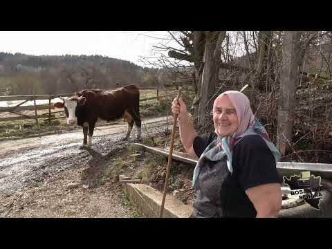 Osloniš se na penziju i loše živiš,spontano i dalje radi