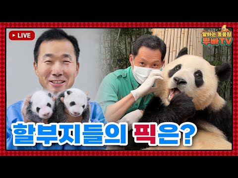 [🔴LIVE] 강바오 X 송바오 특급 콜라보 방송✨ 과연 판다 할부지들의 쌍둥이 이름 원픽은??