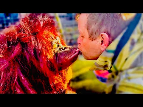 Орангутан Дана за БОРЩ готова родную маму продать! Олег Зубков принес Дане обед!