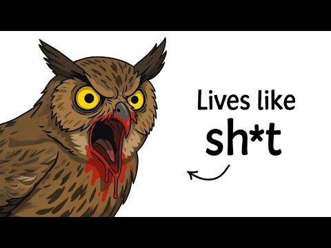 the worst animal to be born as