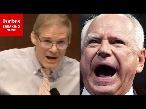 'I've Never Seen Anything Like This!': Jim Jordan Stunned By Testimony About Minnesota Fraud