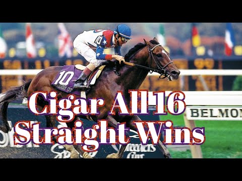 Cigar All 16 Straight Wins