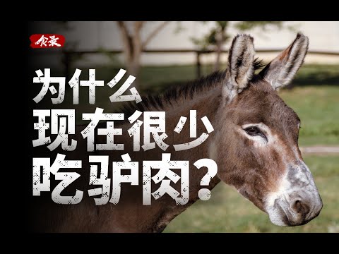 驴肉那么好吃，为什么我们很少吃驴肉？
