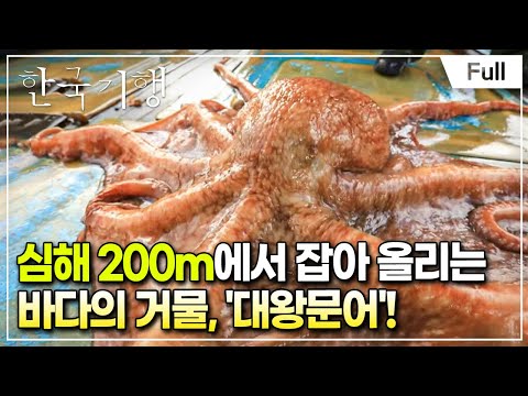 [Full] 한국기행 - 겨울 고수를 만나다 제2부 대왕문어를 찾아서