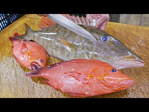 Freshest from the Port！Spangled emperor Catching, Red Snapper Cutting/長嘴來襲！新鮮青嘴龍占魚, 紅笛鯛切割技巧 - 成功漁港