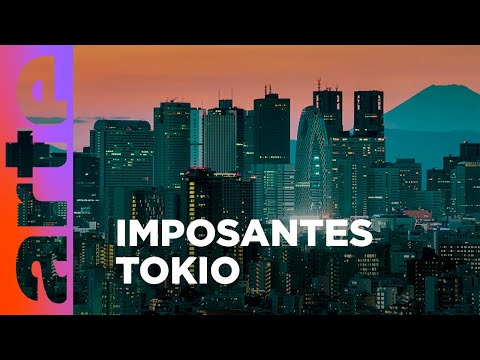 On the rooftops of the city: Tokyo | Documentary | ARTE