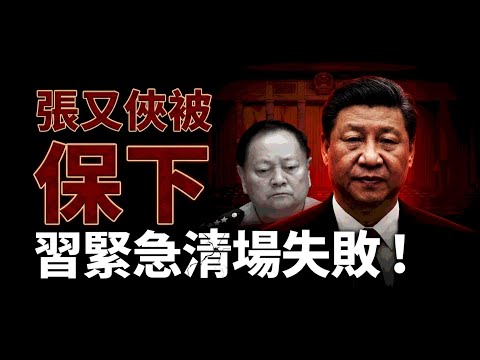失控！人大加塞會議重大意外 張又俠紋絲未動；最新！川普和習近平通話 內容曝光（《萬維讀報》20260204-1 FZJ）
