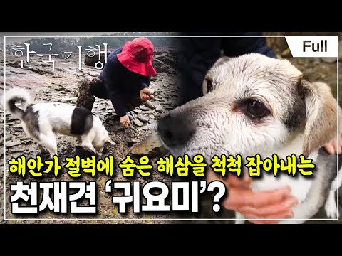 [Full] 한국기행 - 네가 있어 참 좋다 5부 오늘도 사랑할''개''