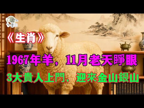 苦羊翻身！1967年屬羊人，苦了58年！11月起『老天睜眼』，3大貴人上門，後半生金山銀山！#屬羊 ##1967年屬羊#屬羊運勢 #2025屬羊運勢 #貴人 #財運 #命理 #丁未後半生 #生肖運勢
