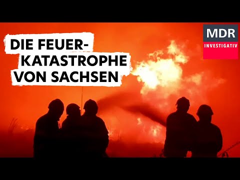 Feuer im Elbsandsteingebirge. Der Kampf um den Nationalpark | Doku