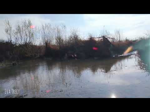 Eva Trecy -Nerdy Guys