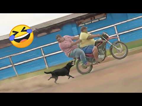 TRY NOT TO LAUGH 😆 Best Funny Videos Compilation 😂😁😆 Memes PART 259