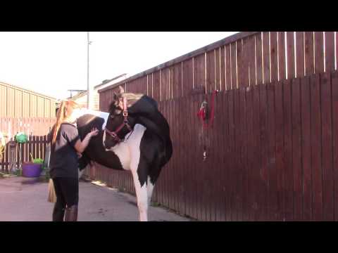 EDL Massage techniques video 3