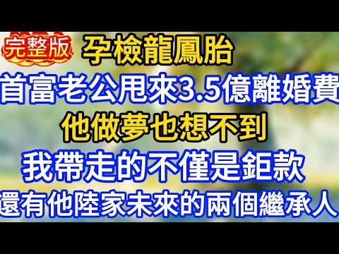 孕檢龍鳳胎,首富老公甩來3 5億離婚費。他做夢也想不到,我帶走的不僅是鉅款,還有他陸家未來的兩個繼承