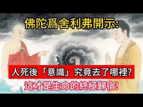 佛陀爲舍利弗開示：人死後，「意識」究竟去了哪裡？這才是生命的終極歸宿！#佛學 #正能量 #菩提解脫道 #佛教文化 #佛教故事 #人生感悟
