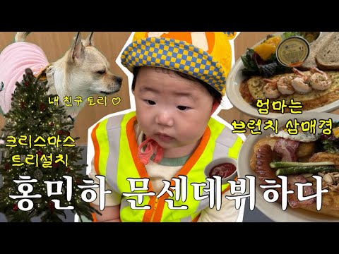 VLOG 7개월아기 문센, 강아지산책, 트리설치, 브런치먹기