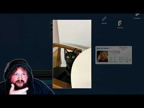 I Had A Report Against Me In Scrutinized!