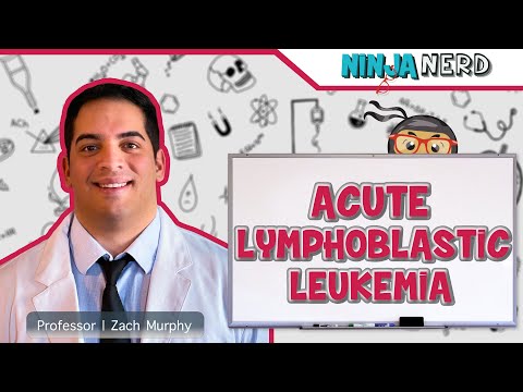 Acute Lymphoblastic Leukemia (ALL)