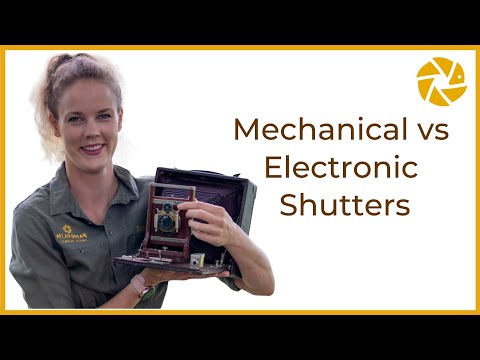 Mechanical Vs Electronic Shutter. Which is BETTER for wildlife photography?
