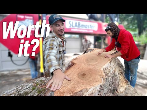 This Log Fought Us The Whole Way