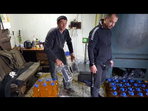 //Ціна на Олію та Макуху-ціна за переробку//Навезли300 тон//0972222552Саша село Виповзки//