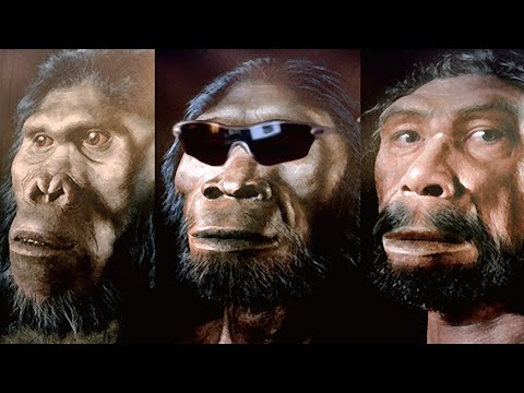 오스트랄로피테쿠스【러스트1】