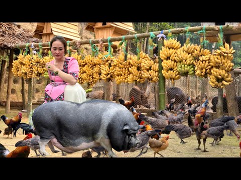 Touching Love Story : Vang Hoa Waiting for Sick Lover to Return – A Lifetime Promise !