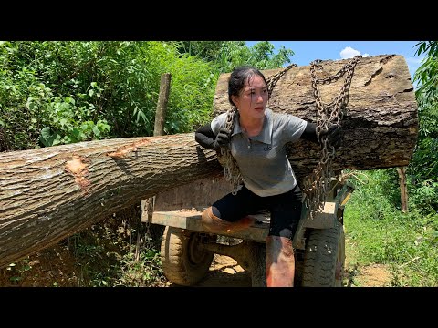 Agricultural vehicle transporting timber on road with log blocking road