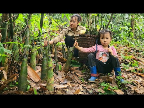 FULL VIDEO: How to harvest and preserve bamboo shoots to sell at market with daughter