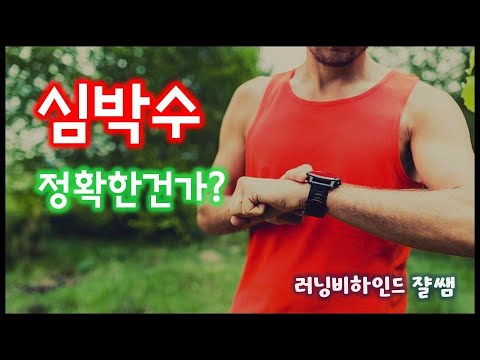 심박수가 너무 높은데? I 심박수가 높은 이유 I 심박수 측정의 비밀 I 러닝 스마트워치