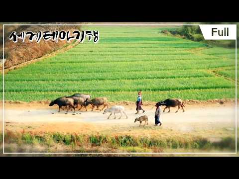 [Full] 세계테마기행 - 미얀마 소읍기행 1부 ~ 4부