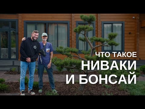 Искусство НИВАКИ И БОНСАЙ. Интервью с Андреем Дарусенковым