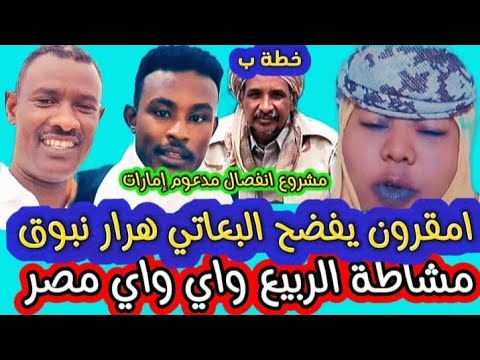 امقرون يفض_حح البعاتي و هرار نبق و يكشف مخطط الدويلة، و مشاااطة عبد المنعم الربيع شغال واي واي مصر 