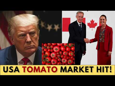 America LOSES Its Tomato Empire — Canada & Mexico STRIKE Back!