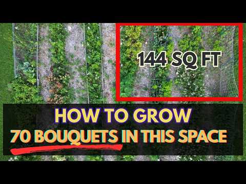 Small Backyard Flower Farming: 4 Crops, 144 Square Feet, 70+ Bouquets