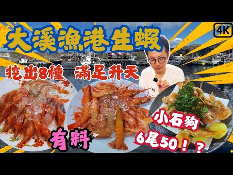 大溪漁港必吃生蝦，一次蒐集8款，CP值最高?最好吃?，石狗公6隻竟然50元還送蝦