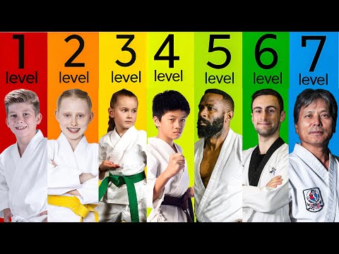 The 7 Levels of Karate