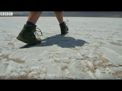 Why Is Salt White? | Earth Science