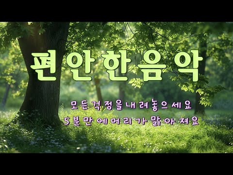 Relaxing Forest Music to Release Worries | Clear Your Mind in 5 Minutes - Healing & Meditation