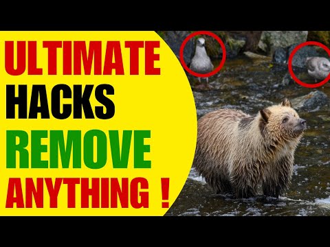 The FASTEST Way to Remove Objects from Photos Using Windows 11(Easy &amp; Simple Steps)