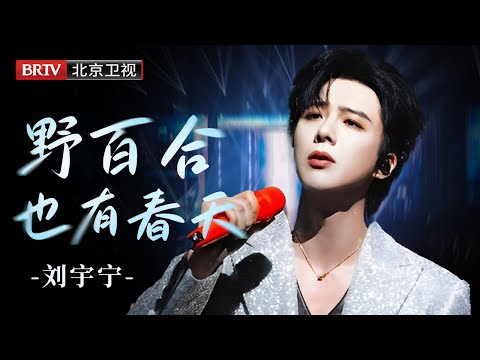 绝美共鸣！刘宇宁深情演绎《野百合也有春天》，每句歌词都像在讲自己的故事！唱哭全场！【北京卫视跨年晚会】