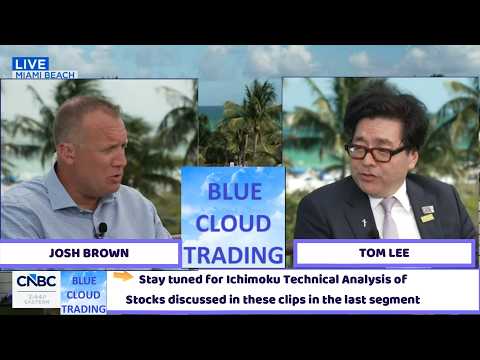 JOSH BROWN & TOM LEE discuss the Stock Market (I analyze stocks discussed in the last segment)