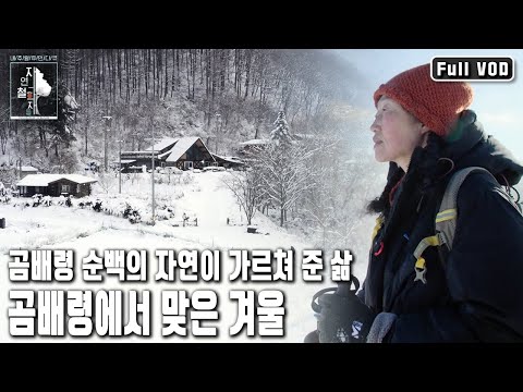 ‘이 겨울이 끝나면 돌아가야지...’라고 생각했지만 그녀는 여전히 곰배령에서 겨울을 나고 있다 | 자연의 철학자들 46부 곰배령, 눈꽃 내리면 (KBS 20230217 방송)