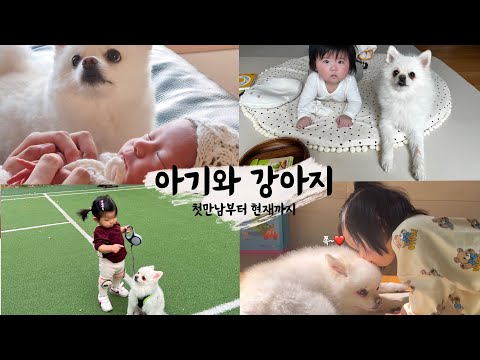 아기와 강아지가 친해지는 과정 / 첫만남부터 현재까지 / 친해지는 방법